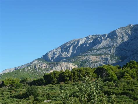 Homemade Gallery 247 IMG 223 Porn Pic