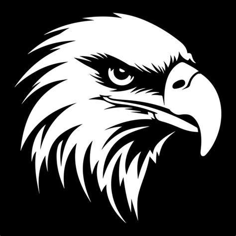 Cabeza De águila Vectorial Vector Premium