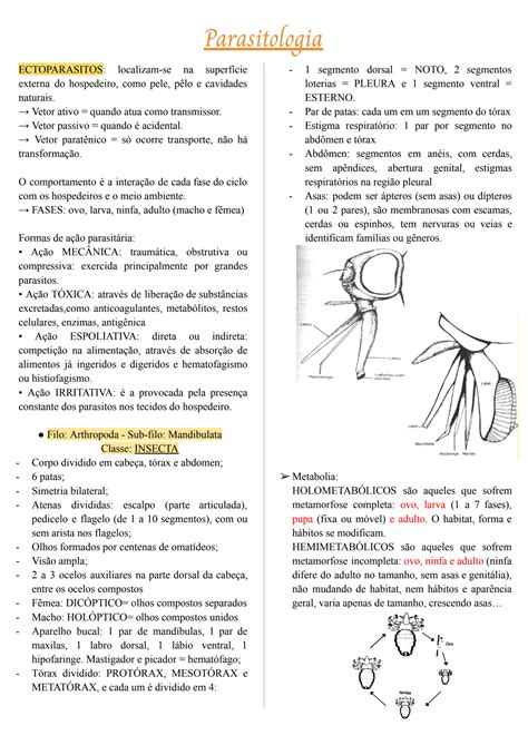 Solution Parasitologia Ectoparasitos Medicina Veterin Ria Studypool