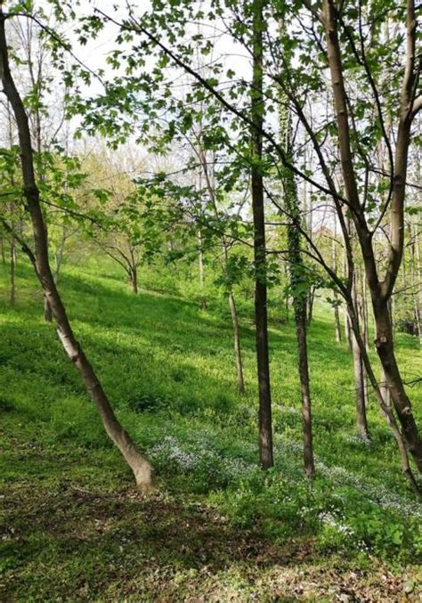 Zelena oaza u gornjem Međimurju od 6000 m2