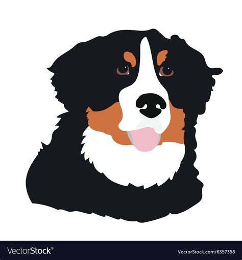 Bernese mountain dog Royalty Free Vector Image