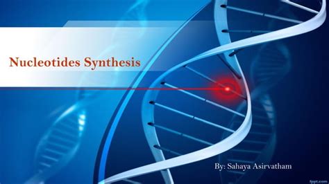 Purine and pyrimidine synthesis | PPT