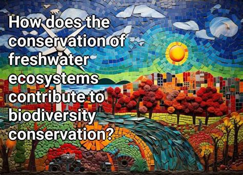 How Does The Conservation Of Freshwater Ecosystems Contribute To