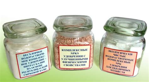 6 комплексные удобрений для овощей и растений