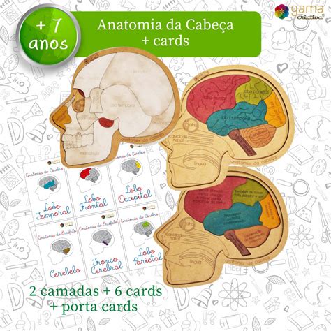 quebra cabeças anatomia da cabeça Gama Criativa