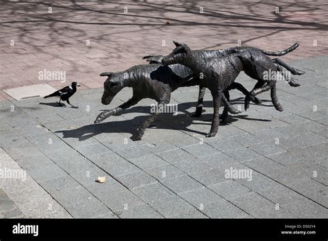 Bush Pack Nil Tenure Sculpture On The City Walk Between Garema Place