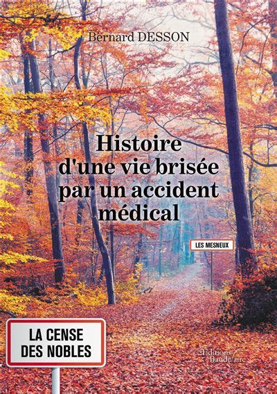 Histoire Dune Vie Brisée Par Un Accident Médical Broché Bernard