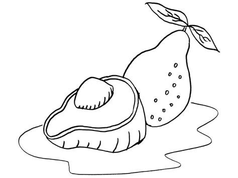 Desenhos De Abacate Para Colorir