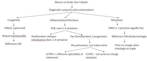 Masse Cervicale Approche Clinique Wikimedica