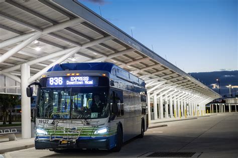 Miami Dade Transit Buses
