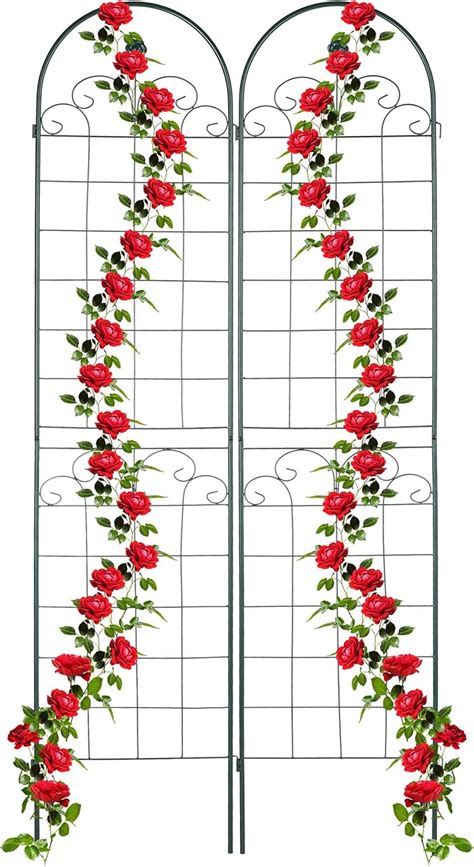 Relaxdays Grigliati Per Rampicanti Set Da 2 HxL 220 X 50 Cm Supporti