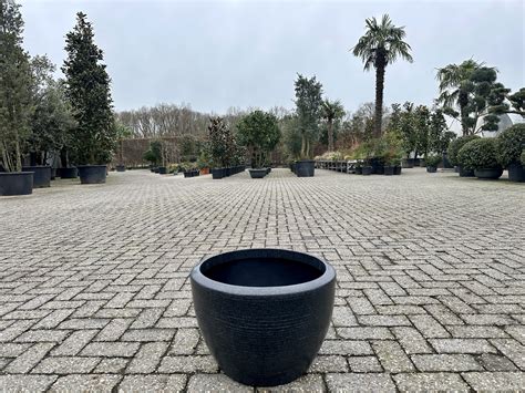 Luxury Vase Plantenbak Zwart Cm Palmexpert Nl