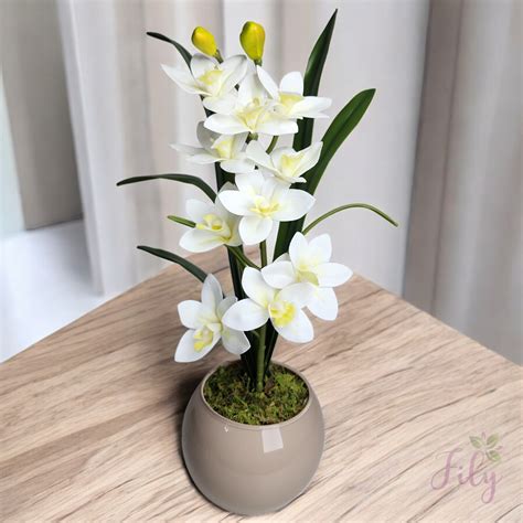 Arranjo de Orquídea Cymbidium branca Vaso vidro nude Fily Flores