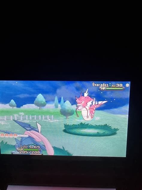 [gen6] shiny gyrados in FS after 700 encounters !! : r/ShinyPokemon