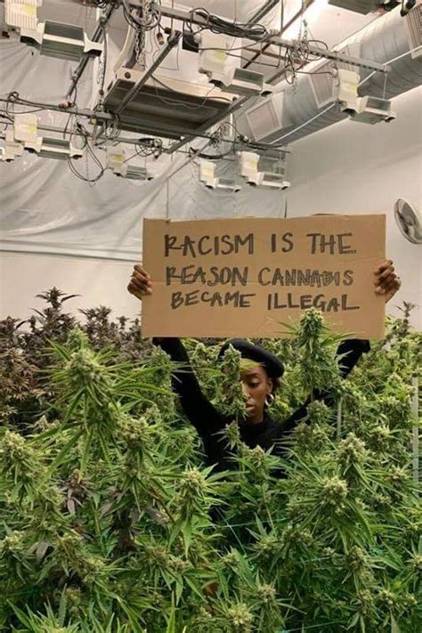 Fuck The War On Drugs Old Pal