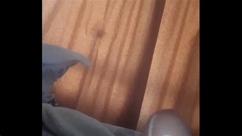 Leche Leche Hoy XVIDEOS