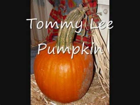 Porn Pumpkins YouTube