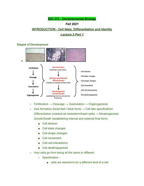 BIO 373 Lecture 2 Part 1 - Fall 2021 - BIO 373 - Developmental Biology ...