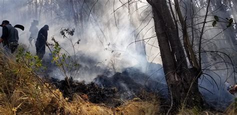 Incendio Forestal En Cusco Siguen Los Trabajos Para Sofocar El Siniestro En Picol Peru El