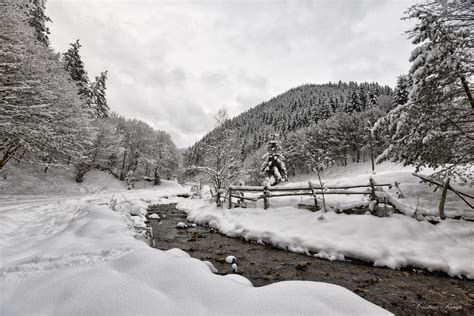 peisaj de iarna parcul natural gradistea muncelului fotografia