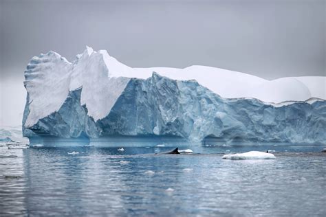 Nog Nooit Was Er Zo Weinig Zee Ijs Op Antarctica Een Derde Minder Dan