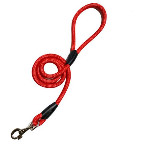 Купить Поводок круглый для собак Dog Walking 12 мм 1.2 м красный, цена ...