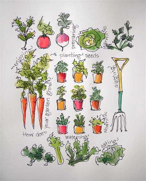 drawing veggies 9