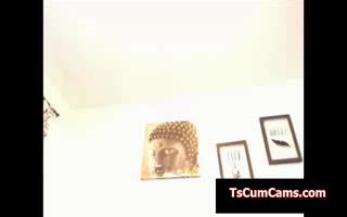 Perfect Body Latina Tranny Teasing Cam Ashemaletube