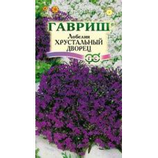 Лобелия Хрустальный дворец Гавриш в Санкт-Петербурге