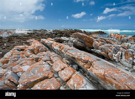 Rugged And Bleak Coastline At Cape Agulhas The Southern Most Point Of