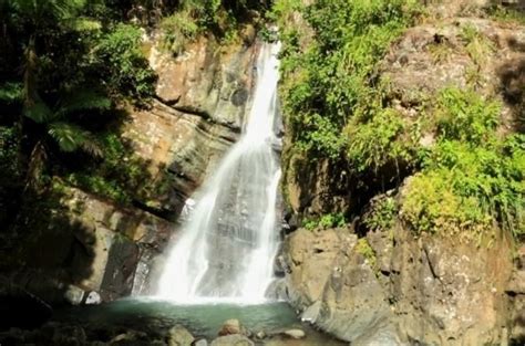 El Yunque Puerto Rico Lonely Planet El Yunque Rainforest Walking