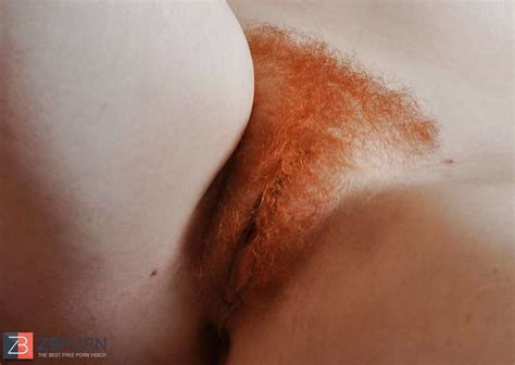 Bucetas Peludas ZB Porn