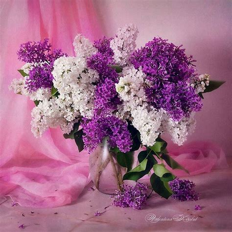 Весенние натюрморты Валентины Корибут | Сирень, Фиолетовые цветы, Букет ...