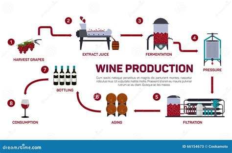 Vector Illustration Of Wine Making How Wine Is Made Wine Elements