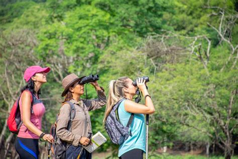 Noticia Salta L Der En Avistaje De Aves En La Argentina