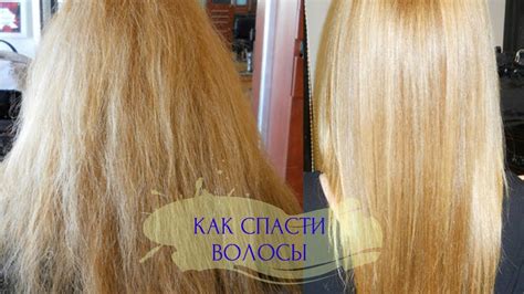 Как сделать лечебную маску для сильно поврежденных волос в домашних ...