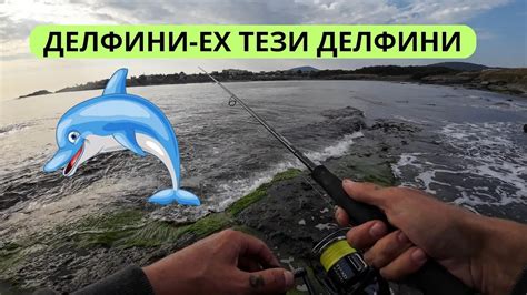 ДЕЛФИНИ-ЕХ ТЕЗИ ДЕЛФИНИ - YouTube