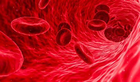 Machine-learning platform can model a person’s immune system - Springwise