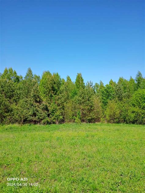 Продам земельну ділянку (пай) площею 6 га: 12 500 $ - Продаж землі ...