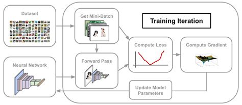 Critical Learning Periods In Deep Networks By Cameron R Wolfe Phd