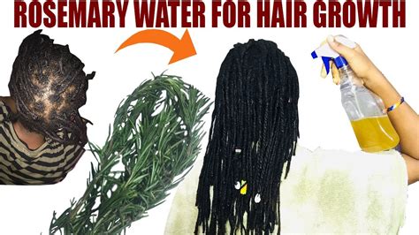 Rosemary Water For Hair Growth Diy Rosemary Water Recipe And How To Use It Properly Youtube