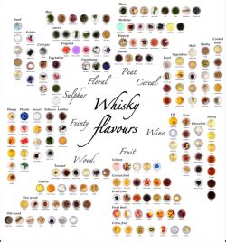 Whisky Flavours Poster Mit Whisky Aromen Auf Kickstarter