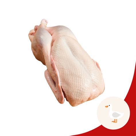 products duck chicduck fresh frozen supply