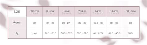 Alyce Ives Intimates Seamless Bikini Underwear For Women Pack No Show Panties Laser Cut