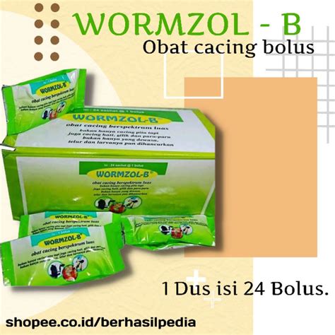 Jual OBAT CACING BOLUS WORMZOL B 1 Dus 24 BOLUS Shopee Indonesia