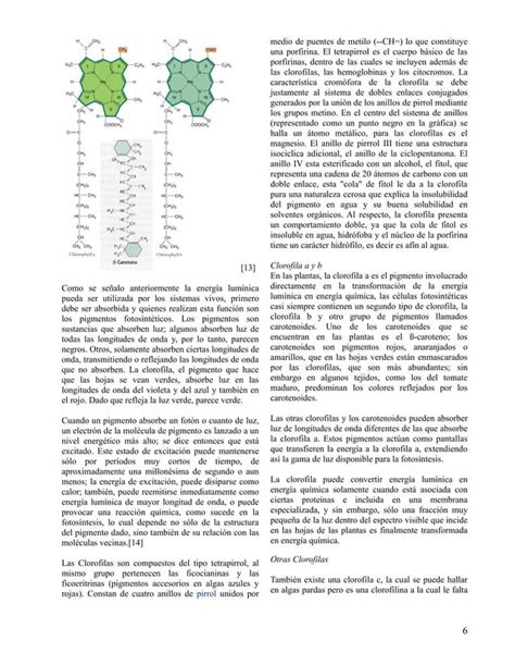 Extraccion Y Separacion De Pigmentos Vegetales Pdf