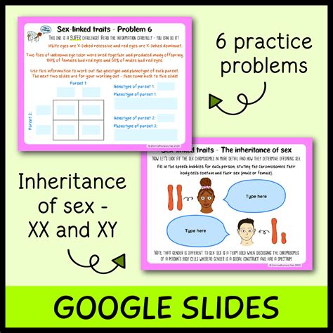 Sex Linked Traits Bundle Emmatheteachie