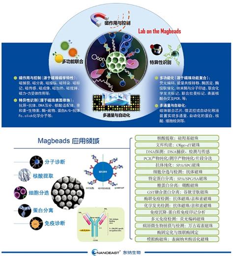 东纳生物系列磁珠产品闪亮登场第十六届CACLP 金纳米 南京东纳生物科技有限公司