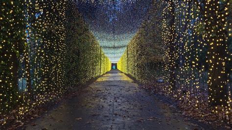 Garden Of Lights Gradina Botanica Bucuresti YouTube