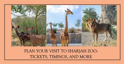 Plan Your Visit to Sharjah Zoo: Tickets, Timings, and More ...